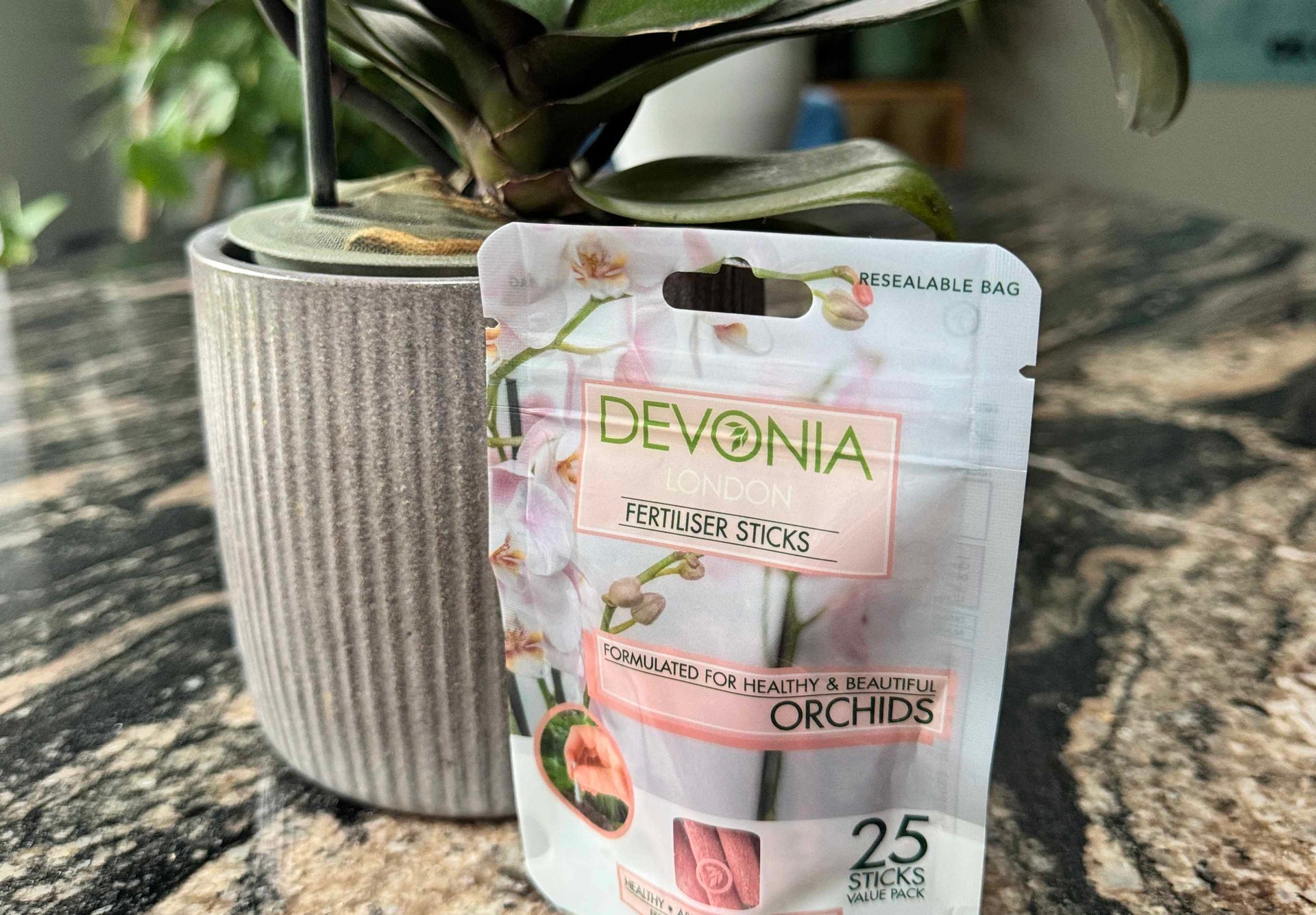 New Product Launch Orchid Sticks