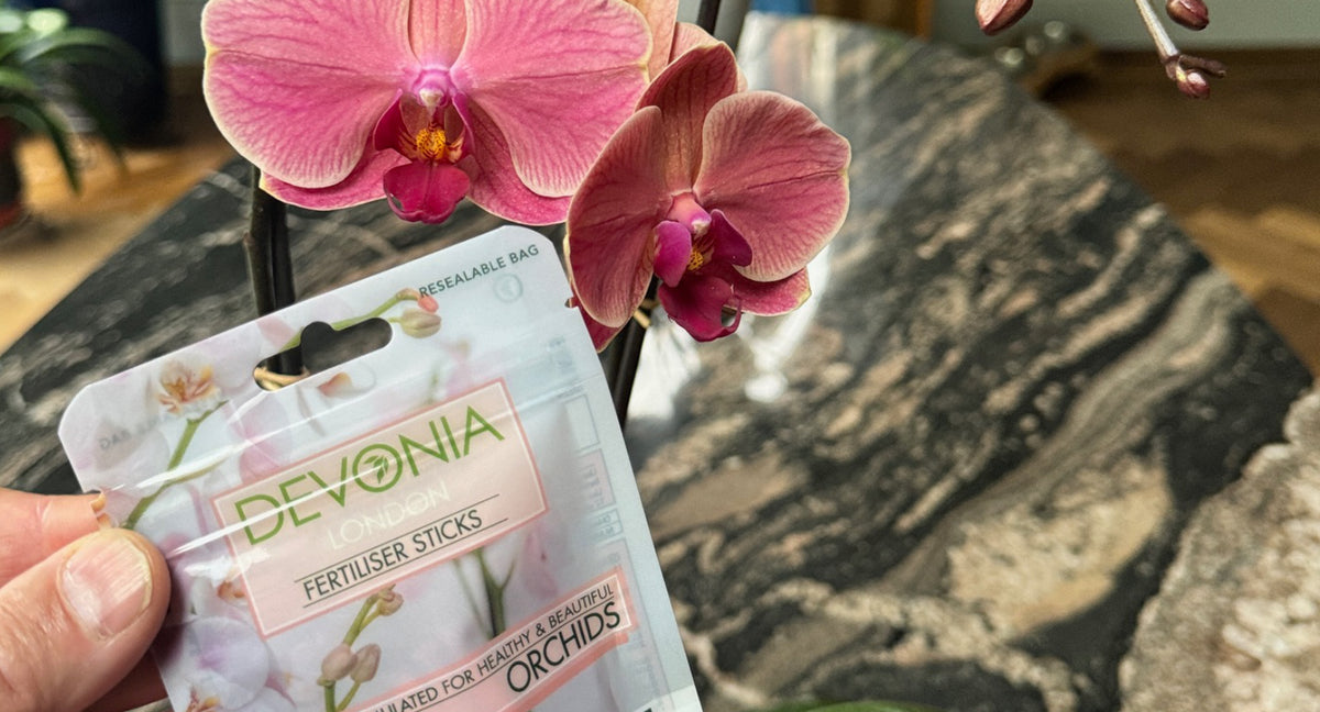 New Product Launch Orchid Sticks - Devonia London
