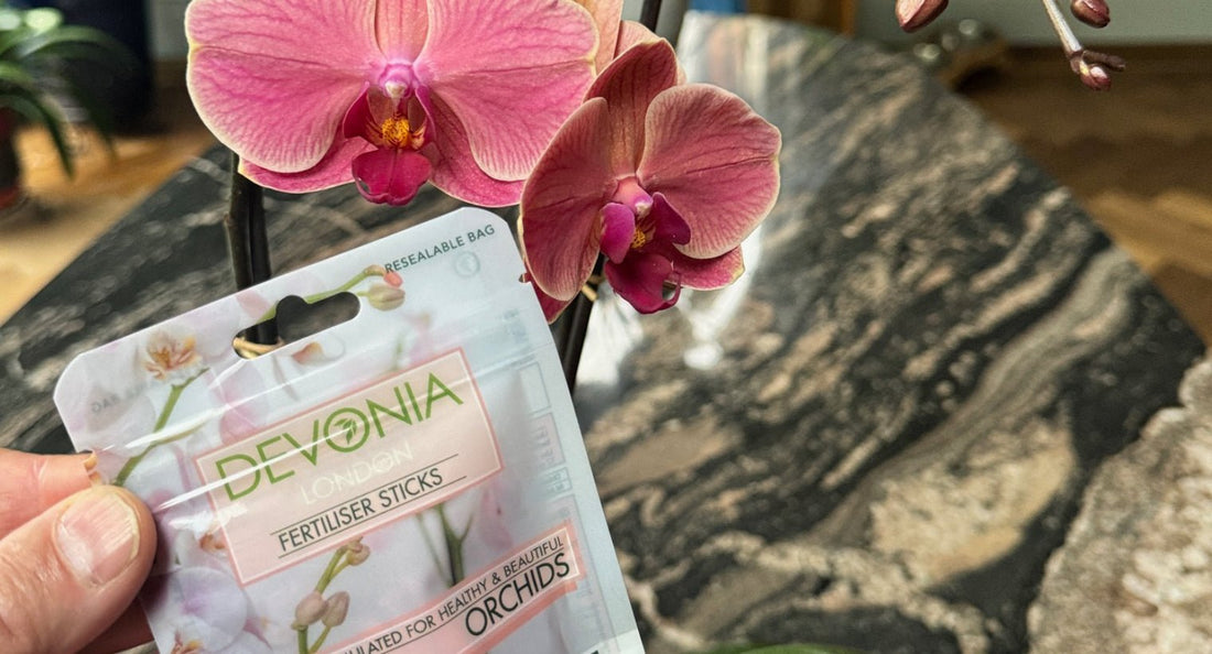 New Product Launch Orchid Sticks - Devonia London