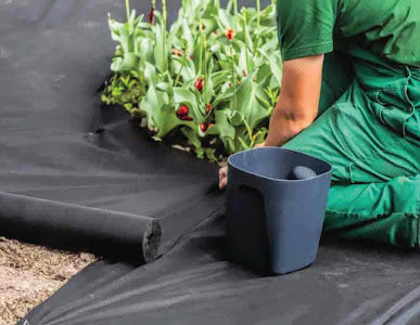 Landscaping and Weed Control Fabric - Basic