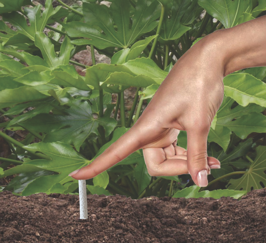 Organic Plant Food Sticks for Vegetables Fruits and Flowering Plants
