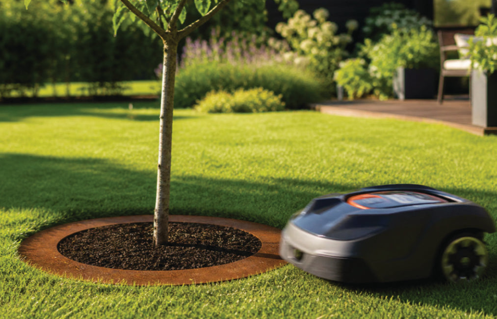 Metal Tree Protection Ring – Rust Steel (non-galvanised) 50 or 70cm