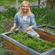Snail and Slug Barrier Kit Silver Metal- for raised vegetable beds or wooden lawn edge