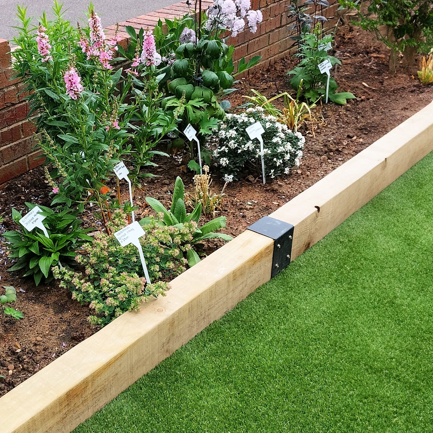 A wooden raised garden bed with black metal corner brackets, filled with soil and various green plants and pink and white flowers, next to a green lawn.