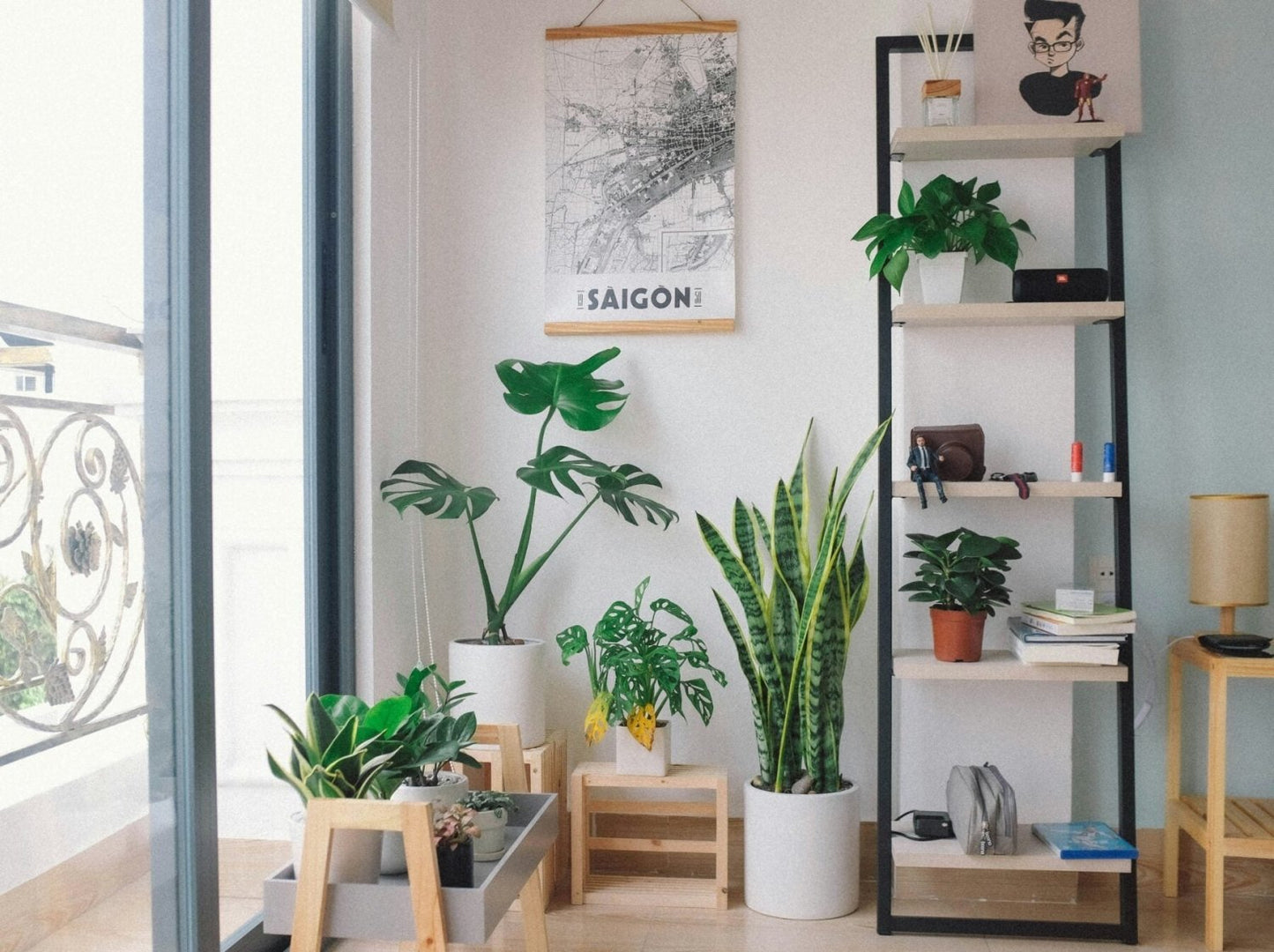 Houseplant Plant Food Sticks - Devonia London