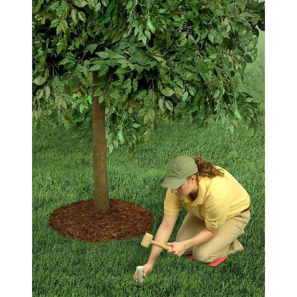 Tree & Shrub Plant Food Large Spikes