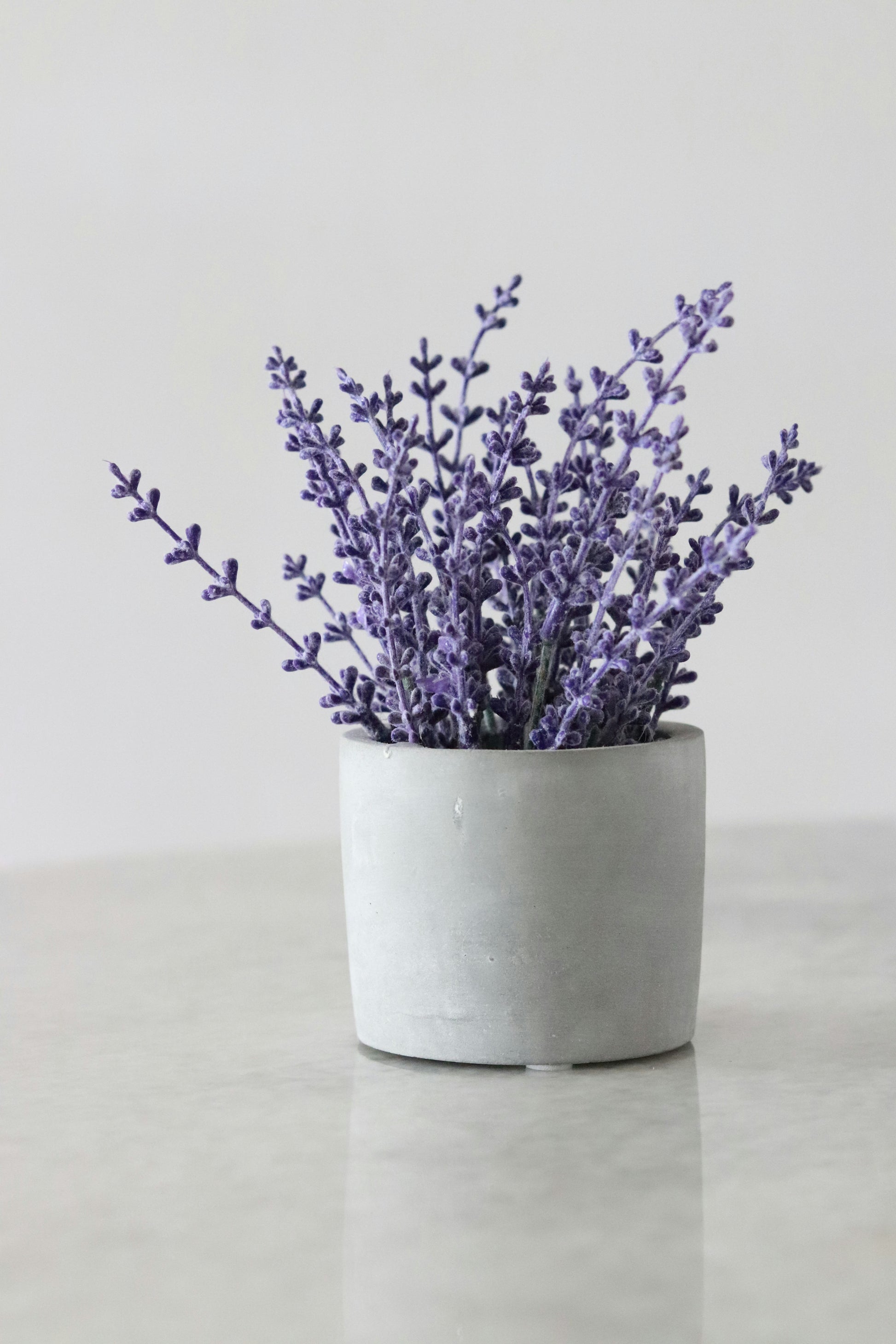 Lavender Food Sticks