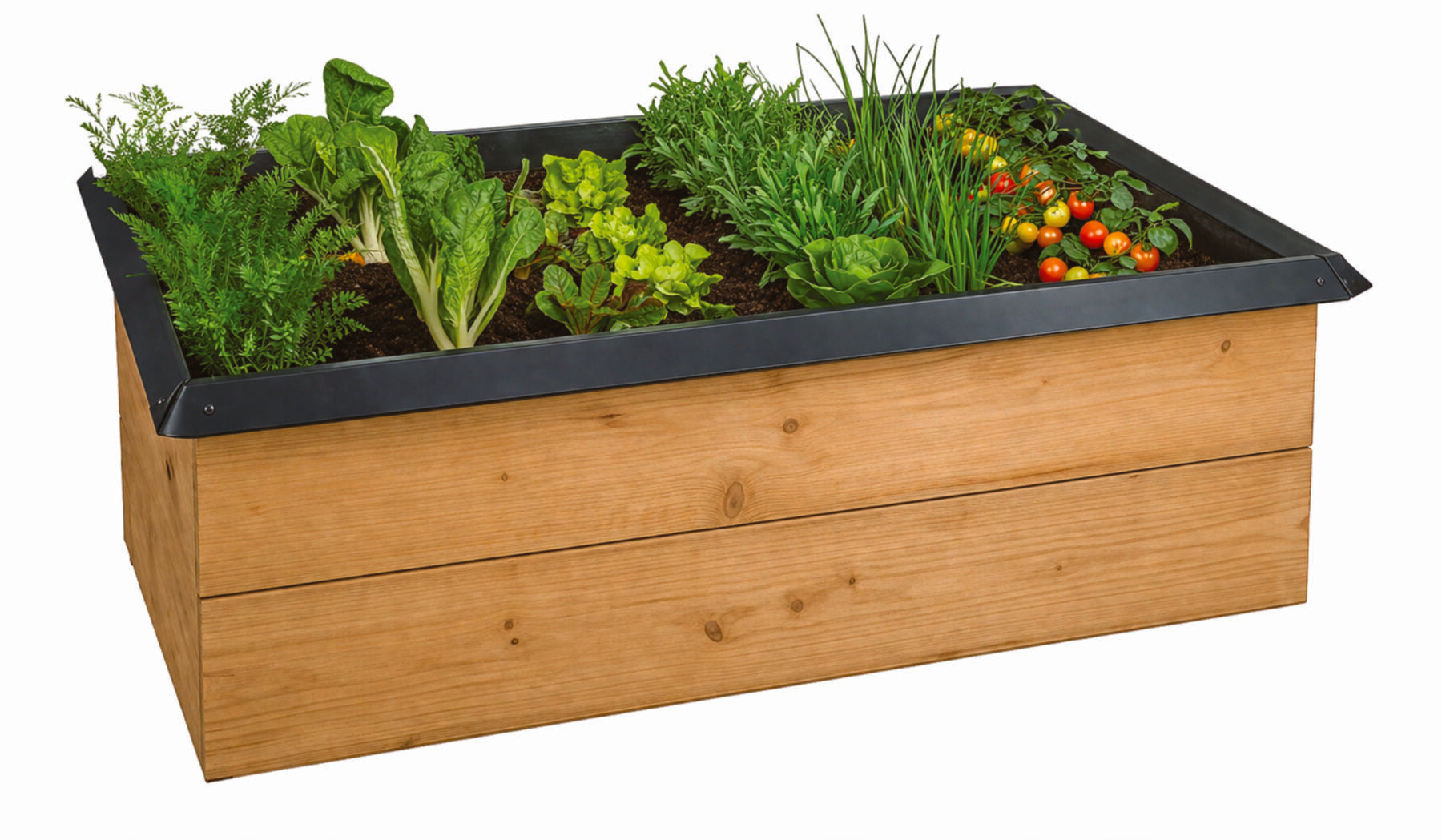 Snail and Slug Barrier Kit Black Metal - for raised vegetable beds or wooden lawn edge