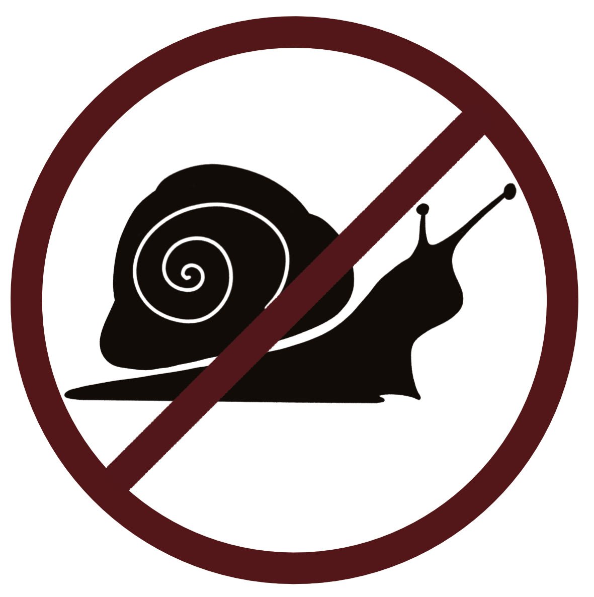 Snail and Slug Barrier Kit Silver Metal - for raised vegetable beds or wooden lawn edge - Devonia London