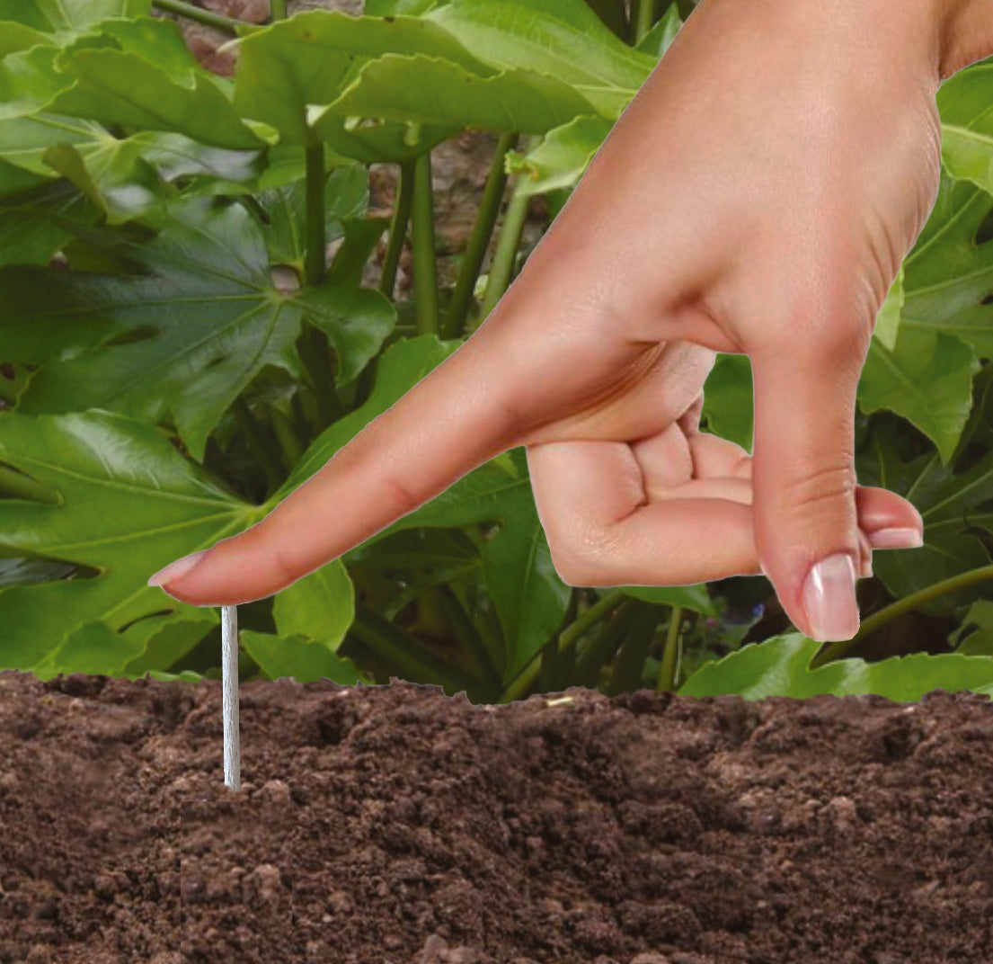Herb Plant Food Sticks