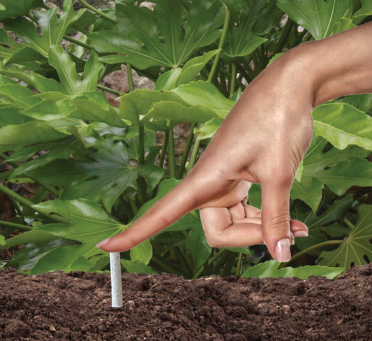 Borders and Bedding Plant Food Sticks