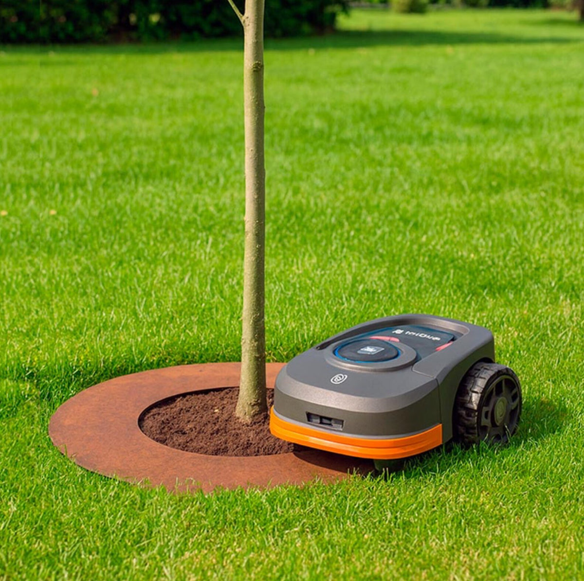 Metal Tree Protection Ring - Rust Steel (non-galvanised) 70cm