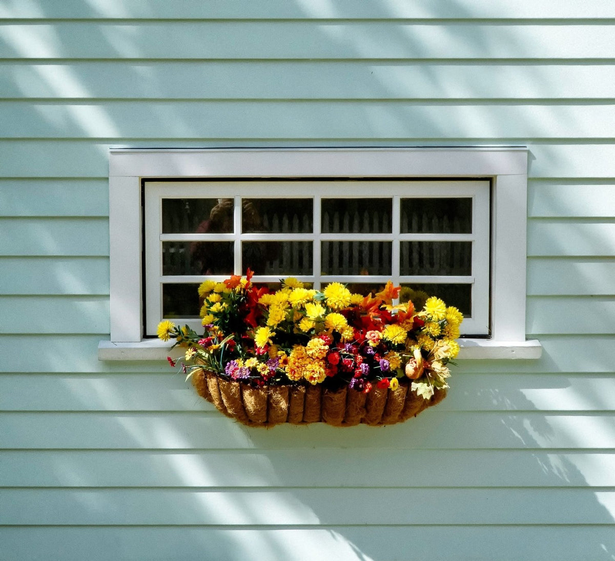 Window Boxes Hanging Baskets and Pot Plant Food Sticks - Devonia London
