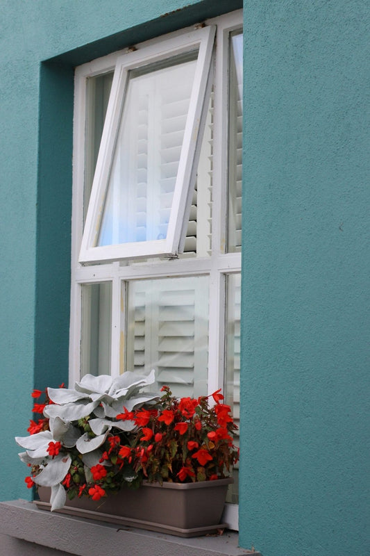 Window Boxes Hanging Baskets and Pot Plant Food Sticks - Devonia London