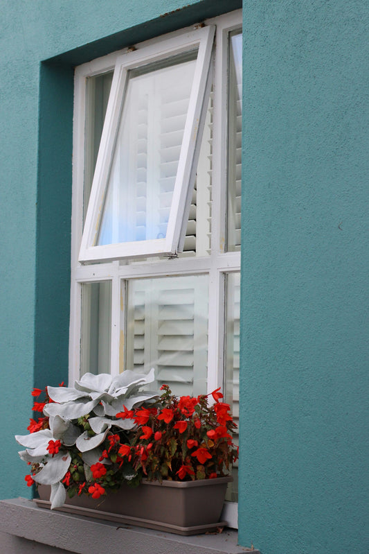 Window Box Hanging Basket and Pot Plant Food Sticks