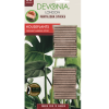 houseplants_devonia