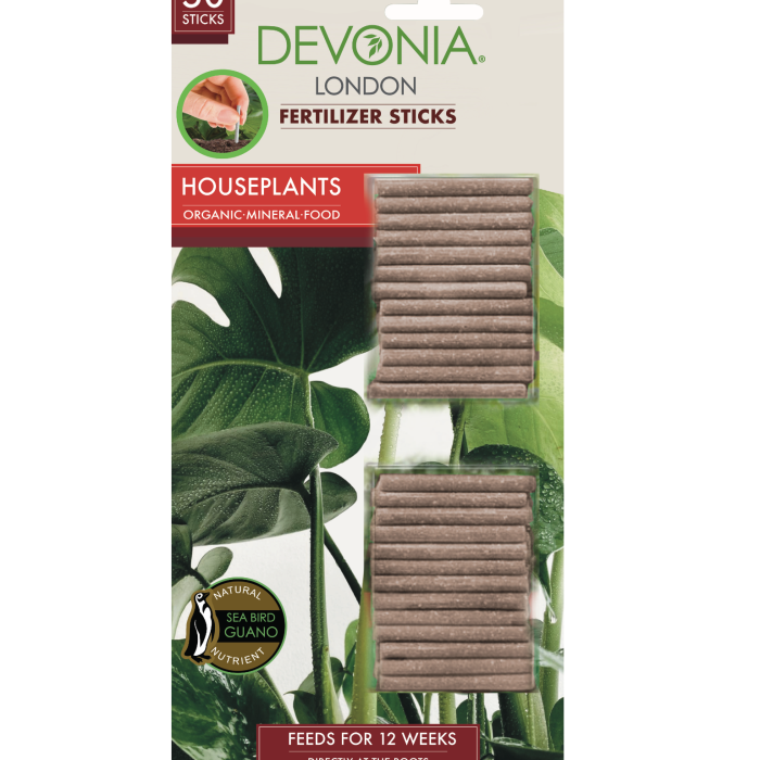 houseplants_devonia houseplants_devonia