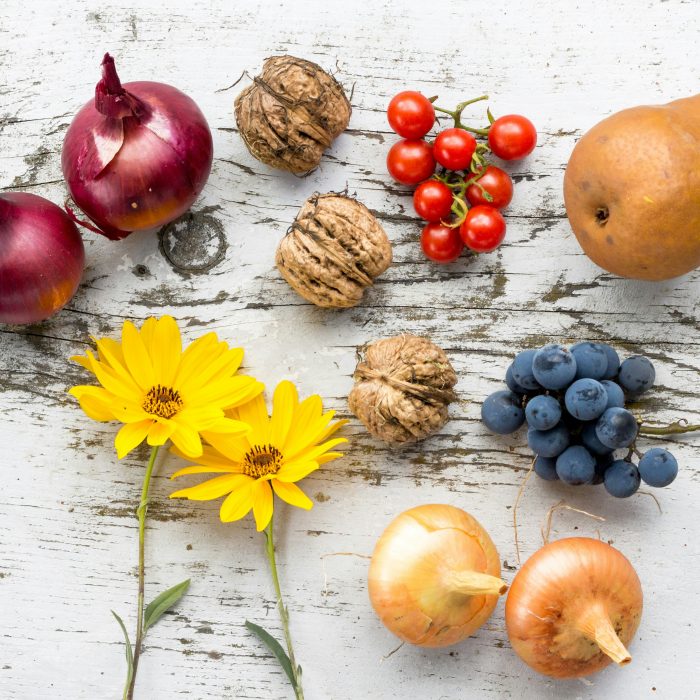 100_Organic_nordwood-themes--2Xuq0g2U_8-unsplash 100_Organic_nordwood-themes--2Xuq0g2U_8-unsplash