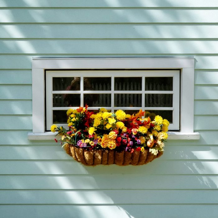 donald-giannatti-rO7ap9LVQGI-unsplash donald-giannatti-rO7ap9LVQGI-unsplash