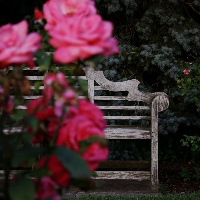 jonnica-hill-HSEmdm3RnV8-unsplash jonnica-hill-HSEmdm3RnV8-unsplash