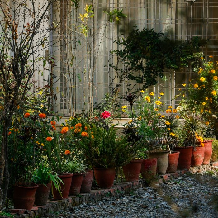 milin-john-hbhEMUoTa1k-unsplash milin-john-hbhEMUoTa1k-unsplash