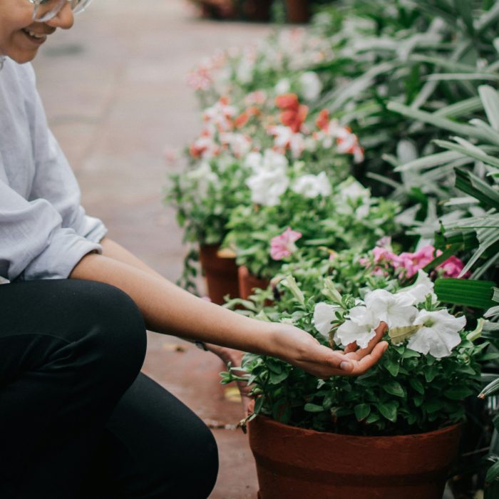 pramod-tiwari-8hzaxMoFs4Q-unsplash pramod-tiwari-8hzaxMoFs4Q-unsplash