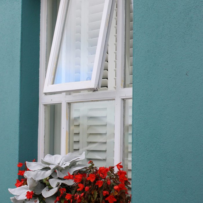 window_box_-bri-mathias-gdX-cFroer4-unsplash window_box_-bri-mathias-gdX-cFroer4-unsplash