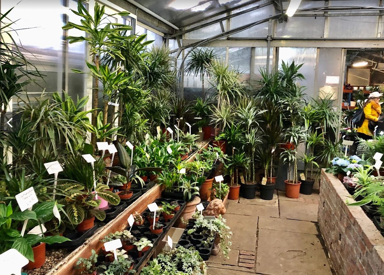 Devonia Products in World's End Nurseries