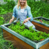 woman tending to raised bed with snail barrier
