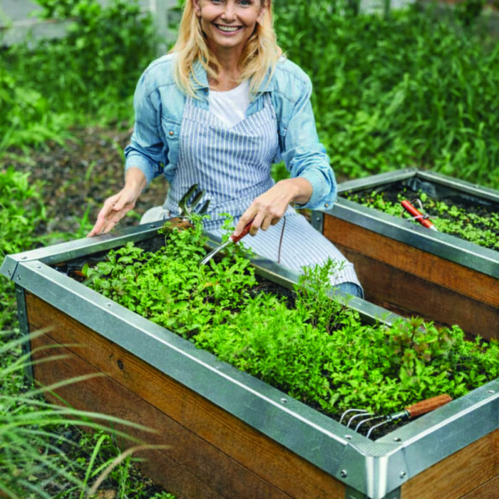 woman tending to raised bed with snail barrier woman tending to raised bed with snail barrier