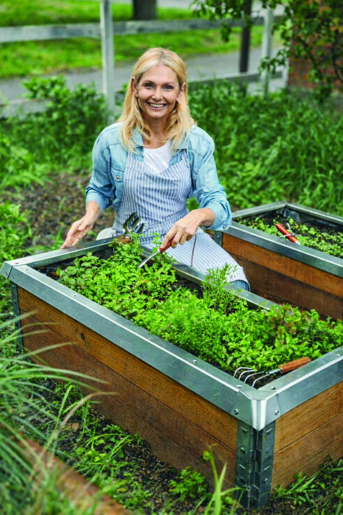Snail and Slug Barrier Kit - for raised vegetable beds or wooden lawn edge galvanised metal