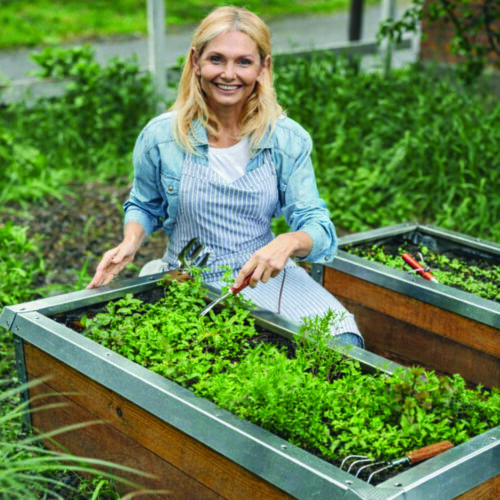 Snail and Slug Barrier Kit - for raised vegetable beds or wooden lawn edge