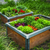 Devonia_Snail barrier_raised vegetable bed