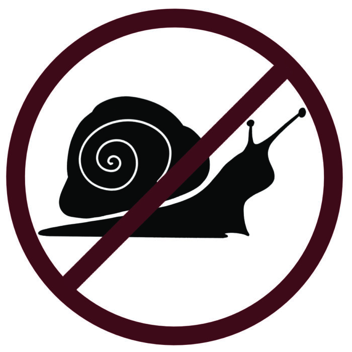 anti snail logo anti snail logo
