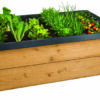 raised vegetable bed_black snail barrier metal