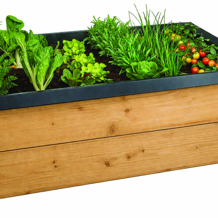 raised vegetable bed_black snail barrier metal raised vegetable bed_black snail barrier metal