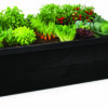 raised vegetable bed_black_black snail barrier metal