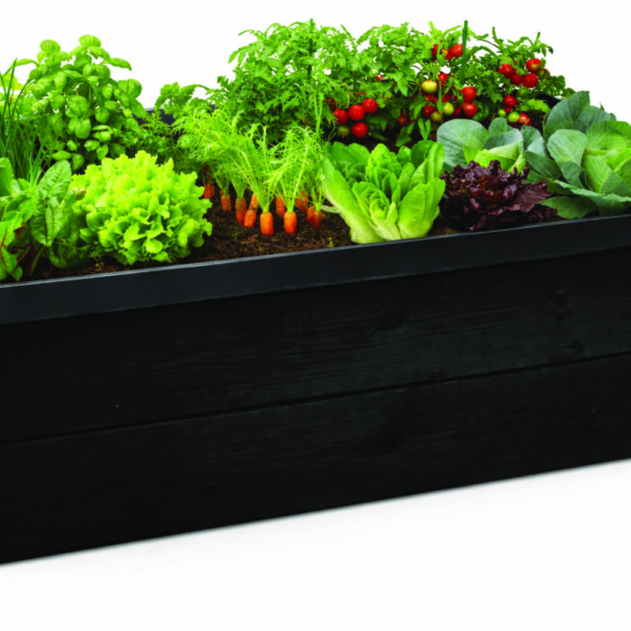 raised vegetable bed_black_black snail barrier metal raised vegetable bed_black_black snail barrier metal