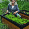 black snail and slug barrier kit
