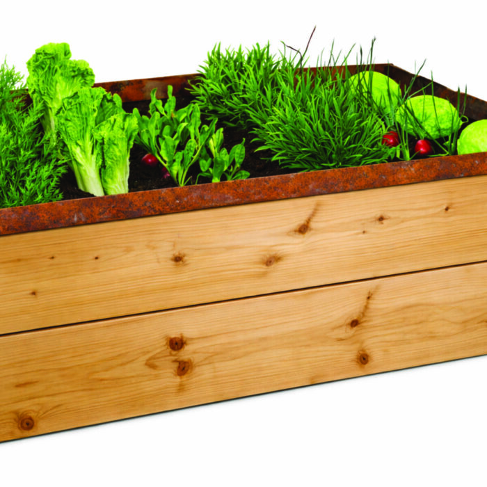 snail barrier rust_raised bed natural wood rusty metal snail barrier